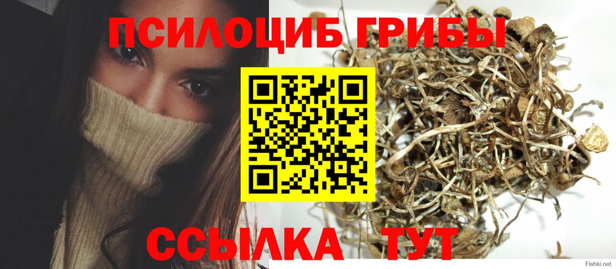 магазин продажи наркотиков  Галлюциногенные грибы мицелий  Вход с VPN  Октябрьский 
